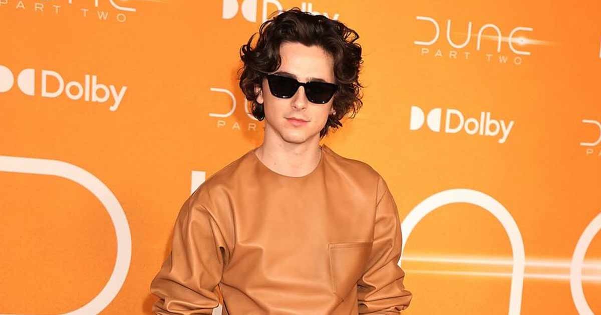 timothee chalamet box office update 01.jpg