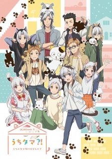 Uchi Tama?! Uchi no Tama Shirimasen ka? an  Rating