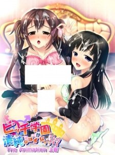 Bitch Gakuen ga Seijun na Hazu ga Nai!!? The Animation an 6.36 Rating