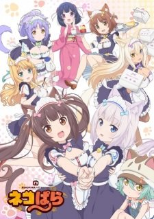 Nekopara an  Rating
