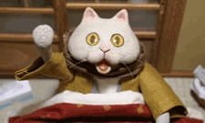 Kotatsu Neko (ONA) an 5.8100000000000005 Rating