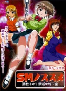 SM no Susume an 5.2 Rating