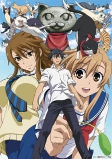 Nyan Koi! an 7.27 Rating