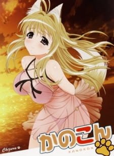 Kanokon: Manatsu no Dai Shanikusai Specials an 6.6 Rating