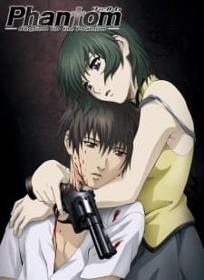 Phantom: Requiem for the Phantom an 8.06 Rating