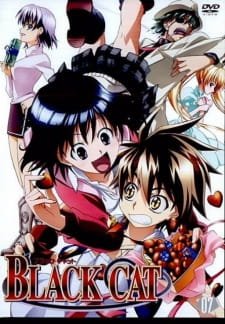 Black Cat: Toozakaru Neko an 7.2 Rating