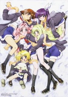 Girls Bravo: First Season an 6.55 Rating