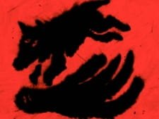 Animal Dance an 4.82 Rating