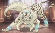 Rui no Masaiban an 4.95 Rating