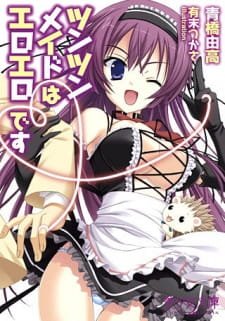 Tsun Tsun Maid wa Ero Ero Desu an 7.14 Rating