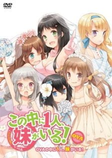 Kono Naka ni Hitori, Imouto ga Iru!: Ani, Imouto, Koibito an 6.85 Rating