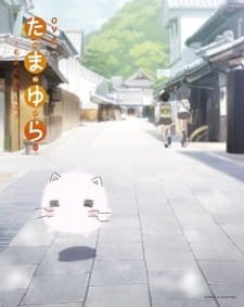Tamayura: More Aggressive – Tsuitachi dake no Shuugakuryokou, Nanode an 7.5 Rating