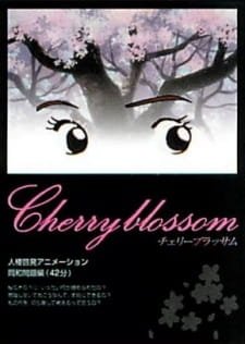 Cherry Blossom an 6.18 Rating