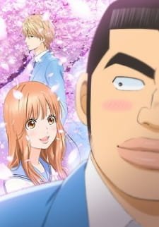 Ore Monogatari!! an 8.03 Rating
