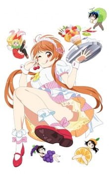 Nisekoi OVA an 7.48 Rating