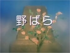 Nobara an 4.7 Rating