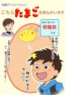 Kochira Tamago Outou Negaimasu an 5.12 Rating