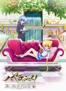 Hayate no Gotoku! Can’t Take My Eyes Off You an 7.09 Rating