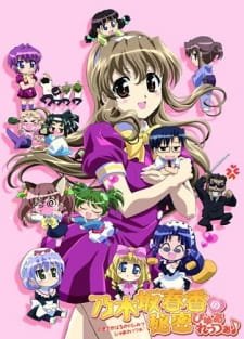 Nogizaka Haruka no Himitsu: Purezza an 7.25 Rating