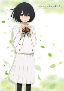 Meiji x Kokosake & anohana Receipt Oubo Campaign an 5.61 Rating