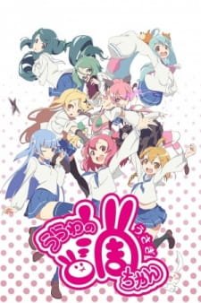 Urawa no Usagi-chan Special an 5.31 Rating