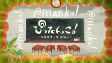 Pittanko! Taiyou-sensei to Pittanko an 7.08 Rating