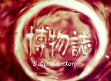 Hakubutsushi an 4.84 Rating
