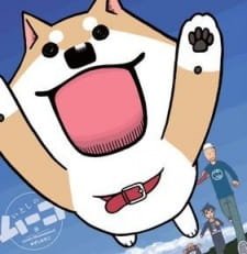 Itoshi no Muco OVA an 5.85 Rating