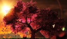 Cherry Blossom (Music) an 4.71 Rating