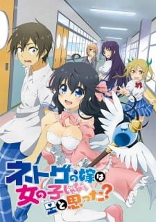 Netoge no Yome wa Onnanoko ja Nai to Omotta? an 6.98 Rating