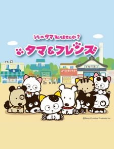 Tama & Friends: Uchi no Tama Shirimasen ka? an 6.3 Rating