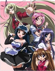 Penguin Musume♥Heart an 6.8 Rating