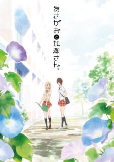 Kimi no Hikari: Asagao to Kase-san. an 7.28 Rating