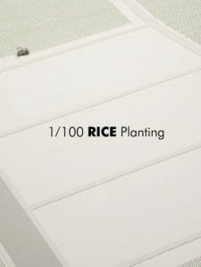 1/100 Rice Planting an 4.87 Rating