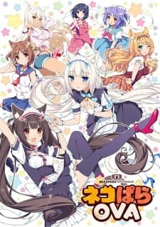 Nekopara OVA an 7.06 Rating