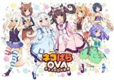 Nekopara: Koneko no Hi no Yakusoku an 7.21 Rating