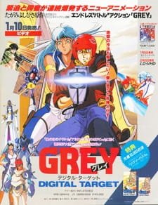 Grey: Digital Target an 6.25 Rating