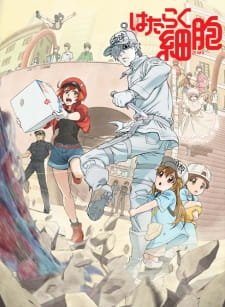 Hataraku Saibou (TV) an 7.77 Rating