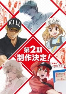 Hataraku Saibou 2nd Season an  Rating
